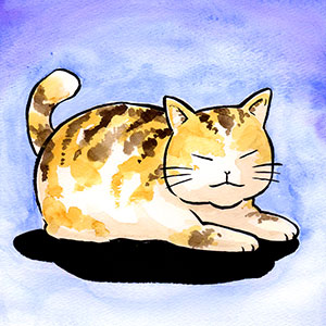 猫の踊り