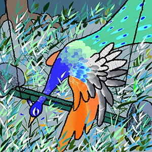 鳥の知恵